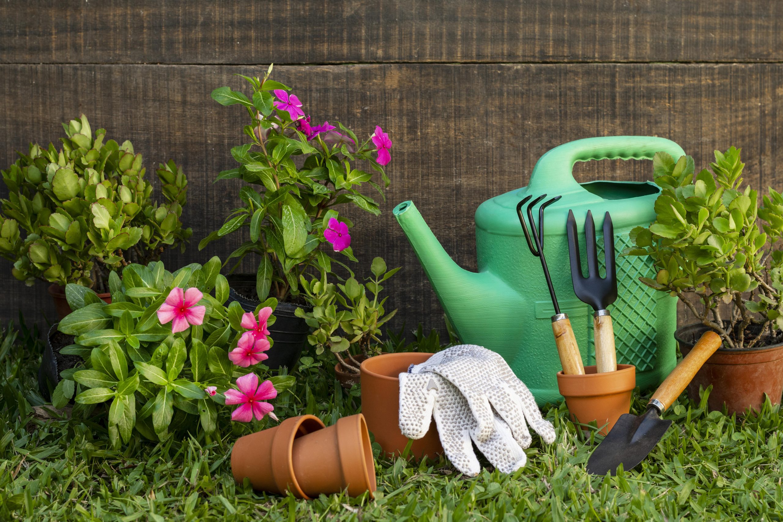 Artigos de Jardinagem